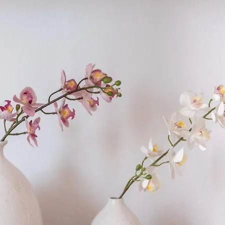 Minimalist W/ View Appartamento